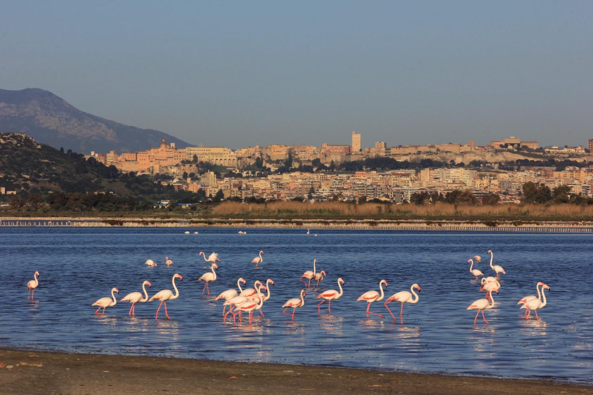 Paquja Aparthotel Quartu Sant'Elena Bagian luar foto